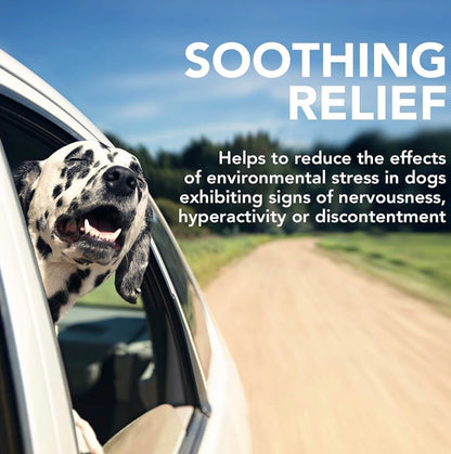 Vet's Best Comfort Calm Calming Soft Chews Dog Supplements - Dog Calming Aid Supports Balanced Behavior - Promotes Relaxation - 90 Day Supply