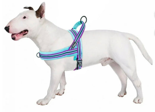 Didog Soft Flannel Padded Dog Vest Harness, Medium :Chest for 21-27.5"  Escape Proof/Quick Fit Reflective Dog Strap Harness,Easy for Walking Training(Blue,M)