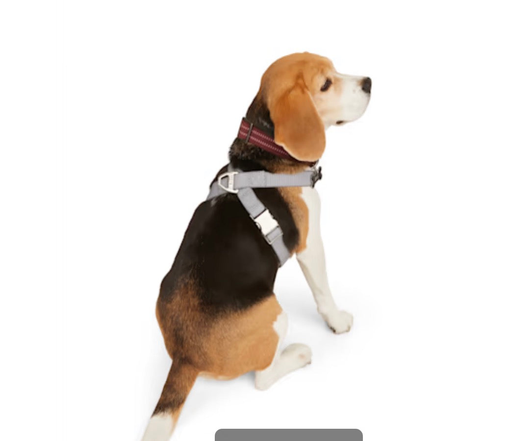 Reddy Grey Reflective Dog Harness, Large