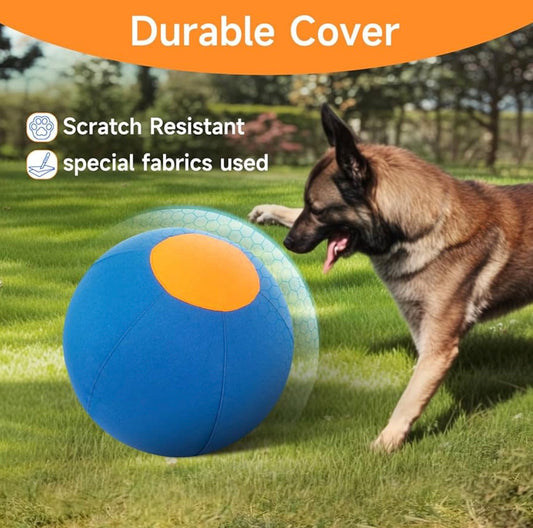 TailWaggers Herding Ball for Dogs,Durable Cover to last.for Exercise and Entertainment Dogs in Backyard-18in