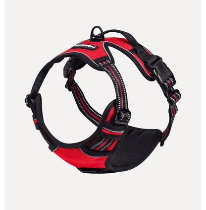 Rabbitgoo Classic Fit No Pull Dog Harness