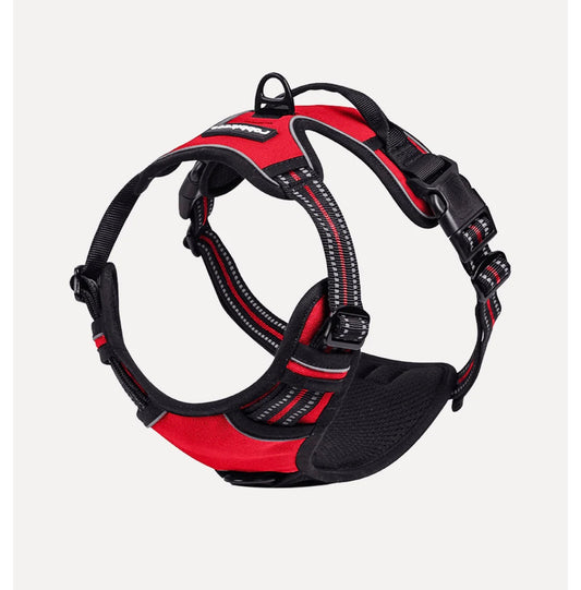 Rabbitgoo Classic Fit No Pull Dog Harness