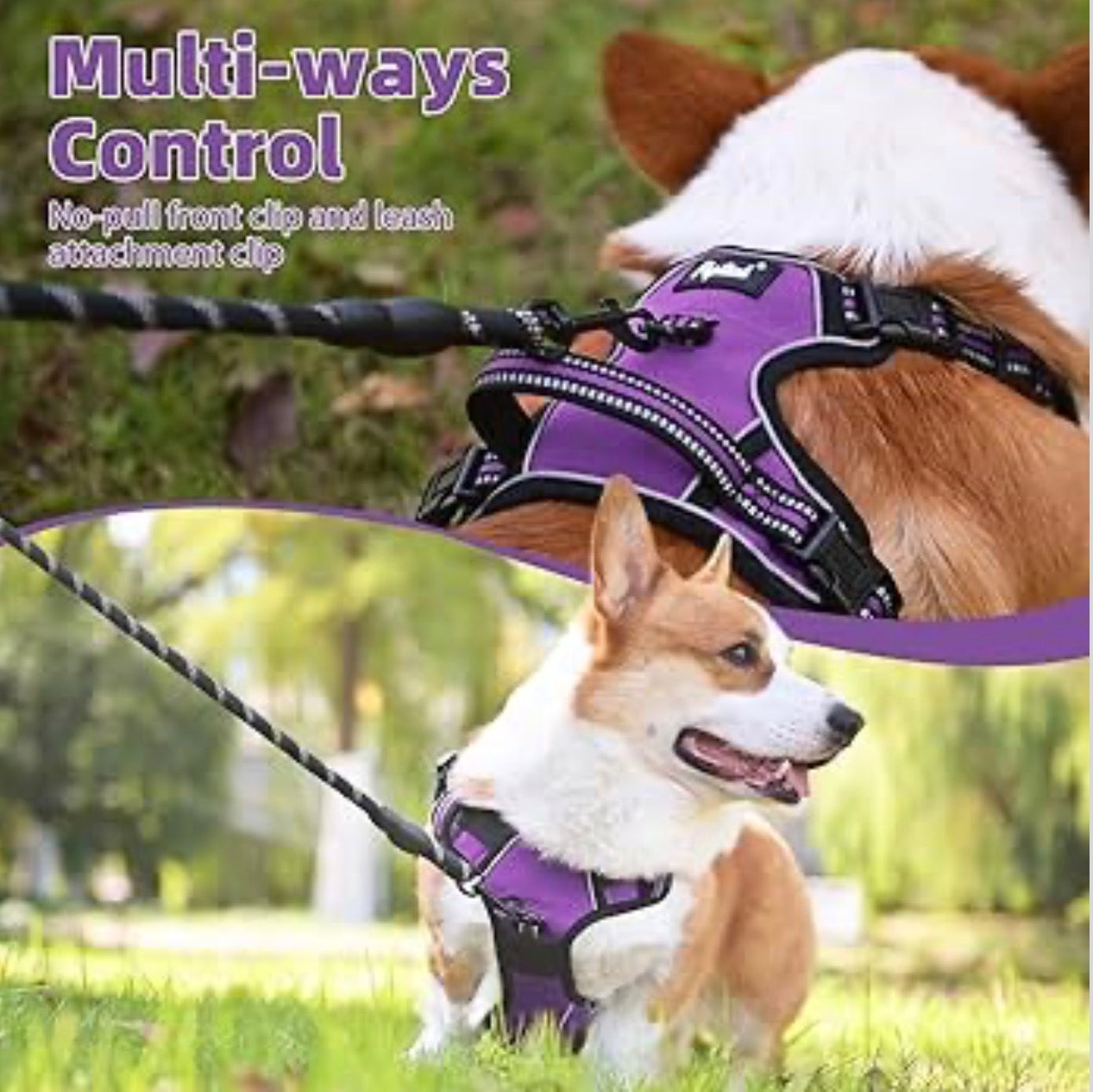 PUPTECK No Pull Dog Harness Small Sized, Adjustable Reflective Dog Harness with Handle Easy Control, Comfortable Soft Padded Pet Vest Harness for Small Dogs, Solid Purple S