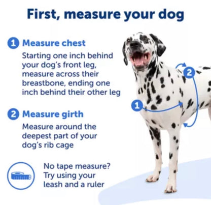 PetSafe Easy Walk Harness, No Pull Dog Harness