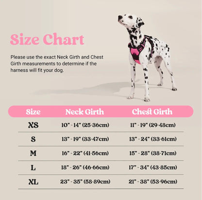 Rabbitgoo Classic Fit No Pull Dog Harness