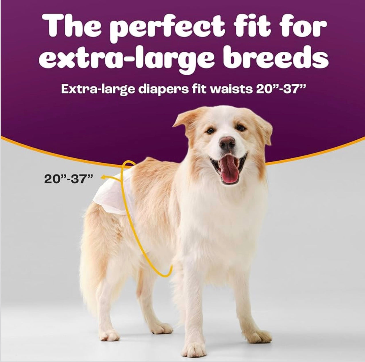 Inspire Pet Care Dog Diapers Female Dogs | Bulk Value Doggie Incontinence, Accidents, for Heat, Pee or Period and Housebreaking (X-Large (28 Count))
