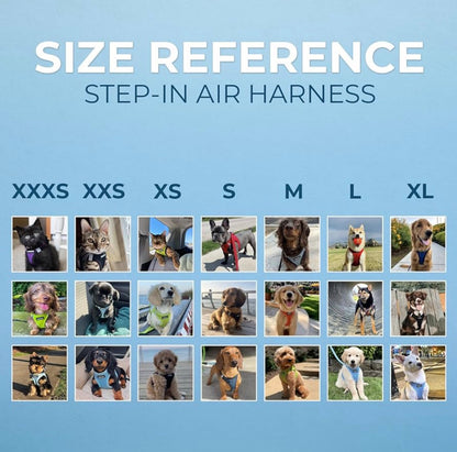 Voyager Step-in Air Harness - All Weather Mesh, Reflective, No Pull Harness for Dogs, Cats - Secure with Hook & Loop Fastener, Buckle, Double D-Rings