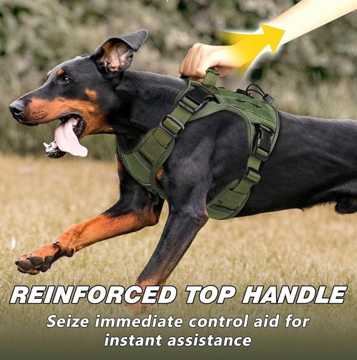 WINGOIN Green Tactical Dog Harness for Medium Dogs, size M: 30-50 lbs (Chest:24-28",Neck:17-19") Heavy Duty No Pull Dog Harness with Handle, Adjustable Reflective Military K9 Pet Vest for Pitbull, Female, Male, Walking, Training, Hunting (M)