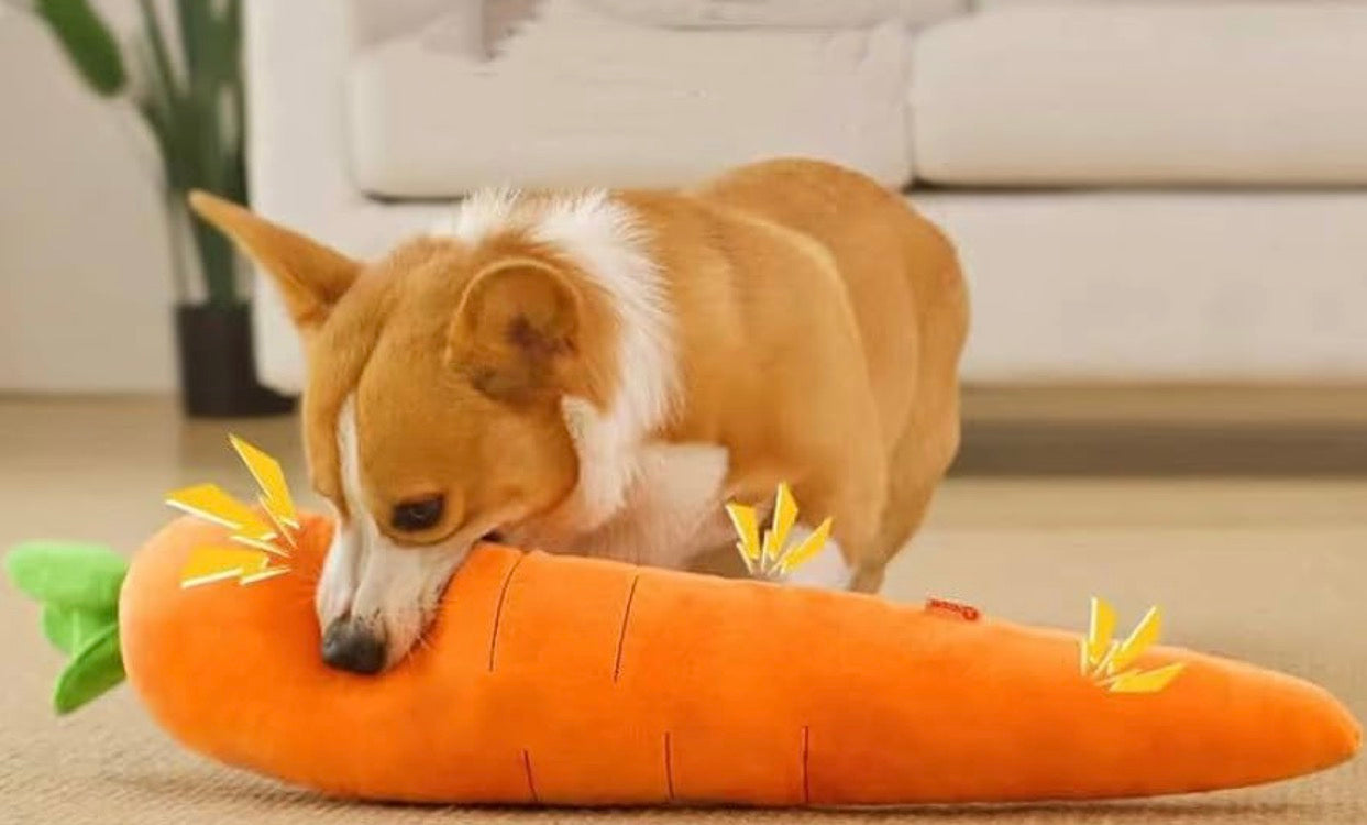 Carrot Style Squeaky Large Plush Dog Toy
