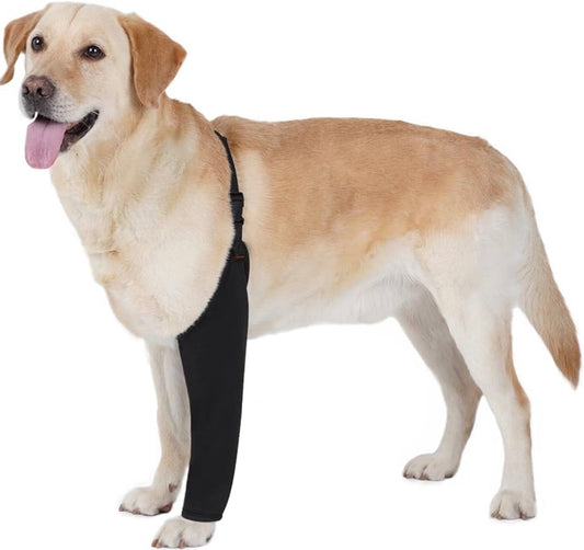 BARKLESS Dog Recovery Suit for Front Leg After Surgery, Breathable for Male/Female to Stop Licking, Single Sleeve for Left/Right Joint Wound Cover, Cone Alternatives (Black, M) (Leg Height 9.5-11.5")