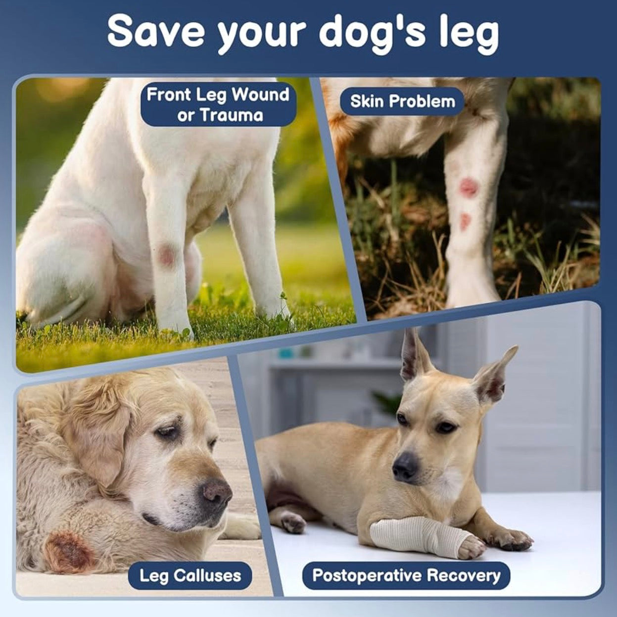 BARKLESS Dog Recovery Suit for Front Leg After Surgery, Breathable for Male/Female to Stop Licking, Single Sleeve for Left/Right Joint Wound Cover, Cone Alternatives (Black, M) (Leg Height 9.5-11.5")