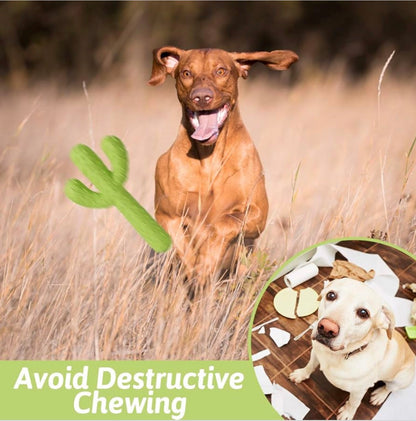 MewaJump Dog Chew Toy, Durable Rubber Dog Toy for Aggressive Chewers, for Training and Cleaning Teeth, for Medium/Large Dog