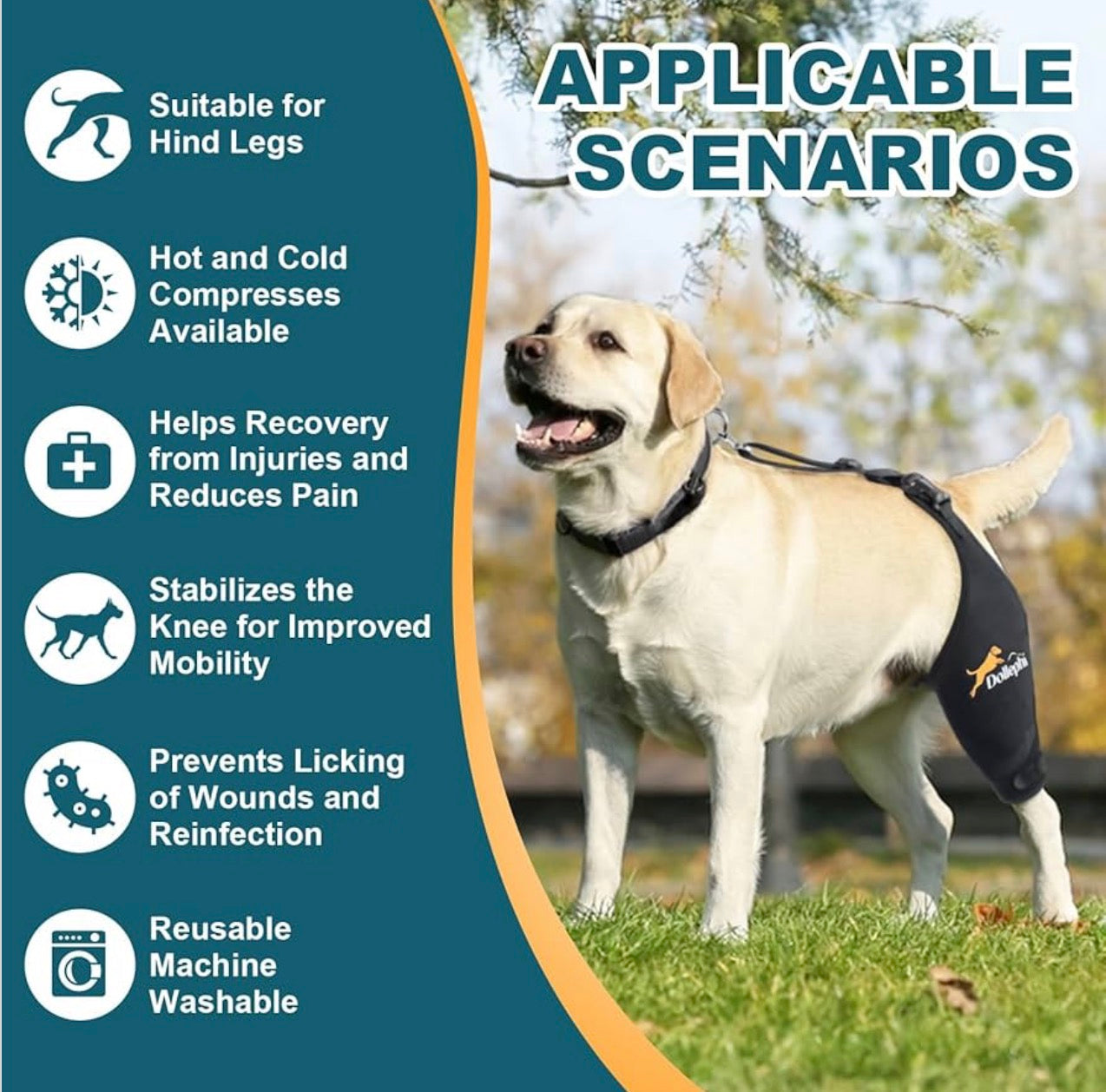 Dog Knee Brace for Torn ACL Hind Leg, Hot/Cold Compress for Patella Dislocation or Osteoarthritis, Cruciate Ligament Injuries, for Medium & Large Dogs(Left Leg size large)