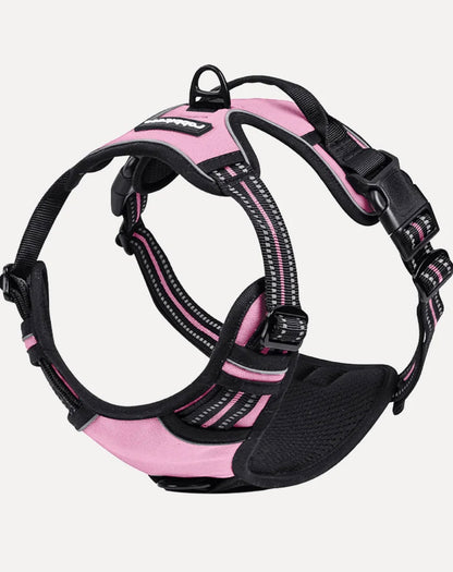Rabbitgoo Classic Fit No Pull Dog Harness