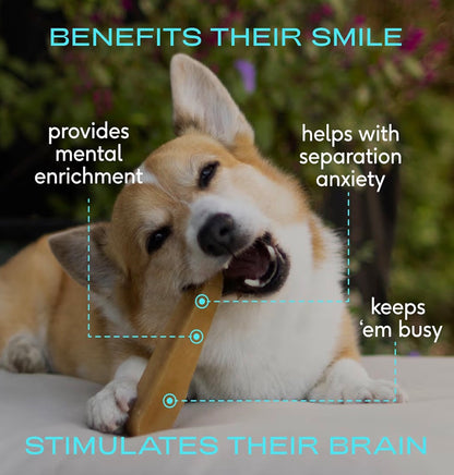 Native Pet Yak Cheese Himalayan Dog Chews XLarge - Long Lasting Dental Sticks for Extra Large Breeds – 100% All Natural Himalayan Yak Chews – Cheese Bone for Aggressive Chewers - 3 Per Pack