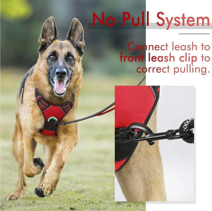 Rabbitgoo Classic Fit No Pull Dog Harness