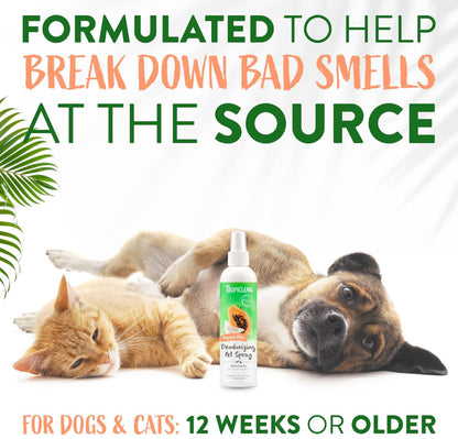 TropiClean Papaya Dog Perfume Spray Long Lasting | Naturally Derived Odor Removing Dog Deodorizing Spray | Cat Friendly | Made in USA | 8 oz.