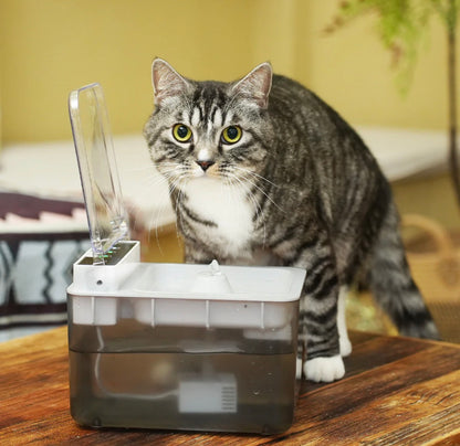 Smart Pet Water Fountain With Sensor Lid - Automatic Flip Top
