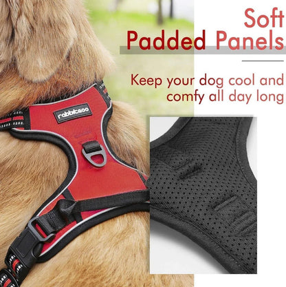 Rabbitgoo Classic Fit No Pull Dog Harness