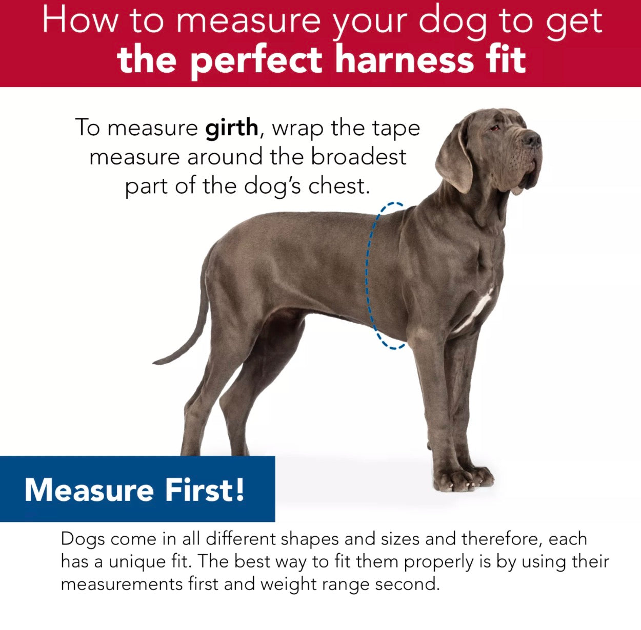 Comfort Soft Sport Wrap Adjustable Dog Harness grey with red