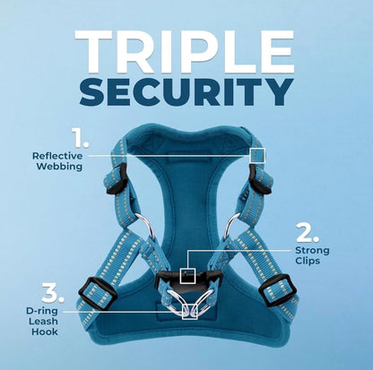 Voyager Mesh Dog Breathable Harness size small Reflective Stitching, All Weather Adjustable for Walking Training, or Running - Heavy Duty & Durable, Harness (Turquoise), S