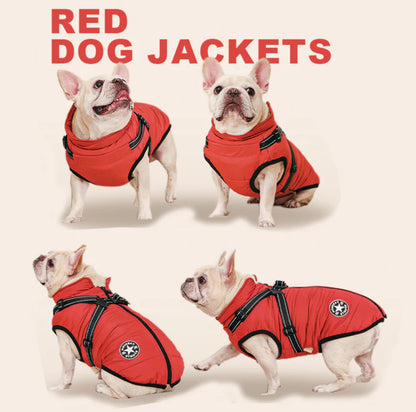 Winter Jacket For Dogs by Fashion Sports xxl can fit a small shihtzu or similar breeds Xl fits Maltese or similar breeds