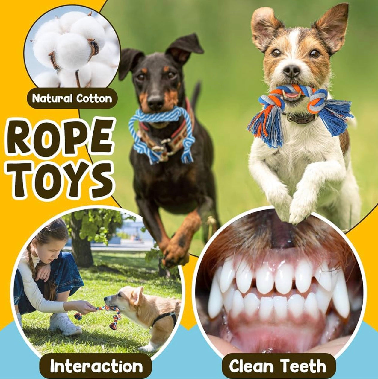 Zeaxuie 9 Pack Luxury Puppy Toys for Teething Small Dogs, Puppy Chew Toys with Cute Squeaky Dog Toys, Ball and More