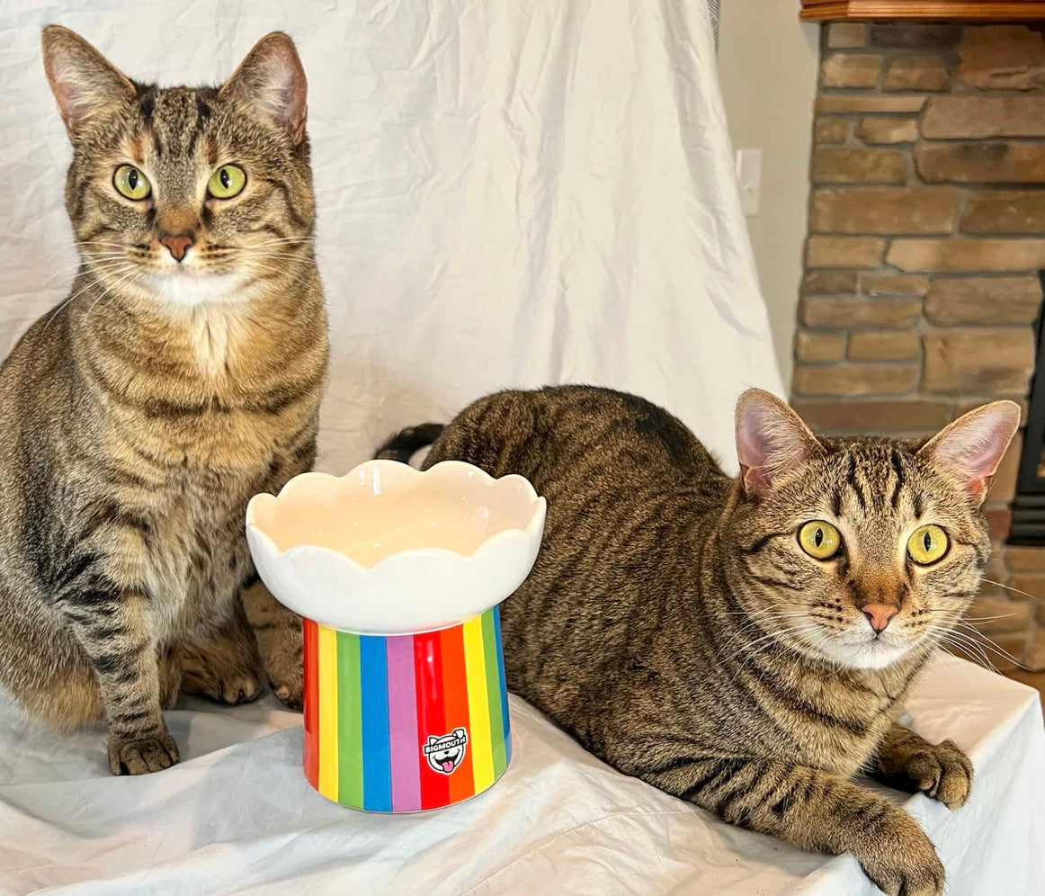 "SOMEWHERE OVER THE RAINBOW" CAT BOWL