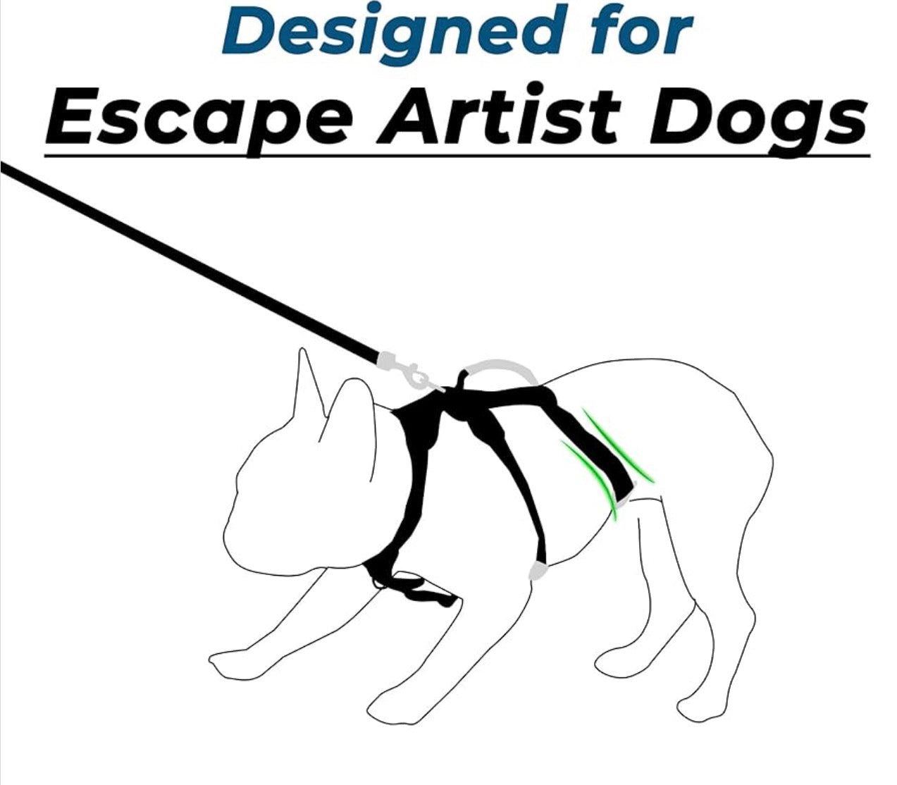 Wuffley Escape Proof Dog Harness and Leash Set, Lightweight Dog Harness with Lift and Assist Handle, No Pull Reflective Pet Vest for Small Medium Dogs, Ideal for Puppy Walking and Training (Black, M)