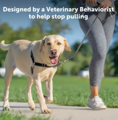 PetSafe Easy Walk Harness, No Pull Dog Harness
