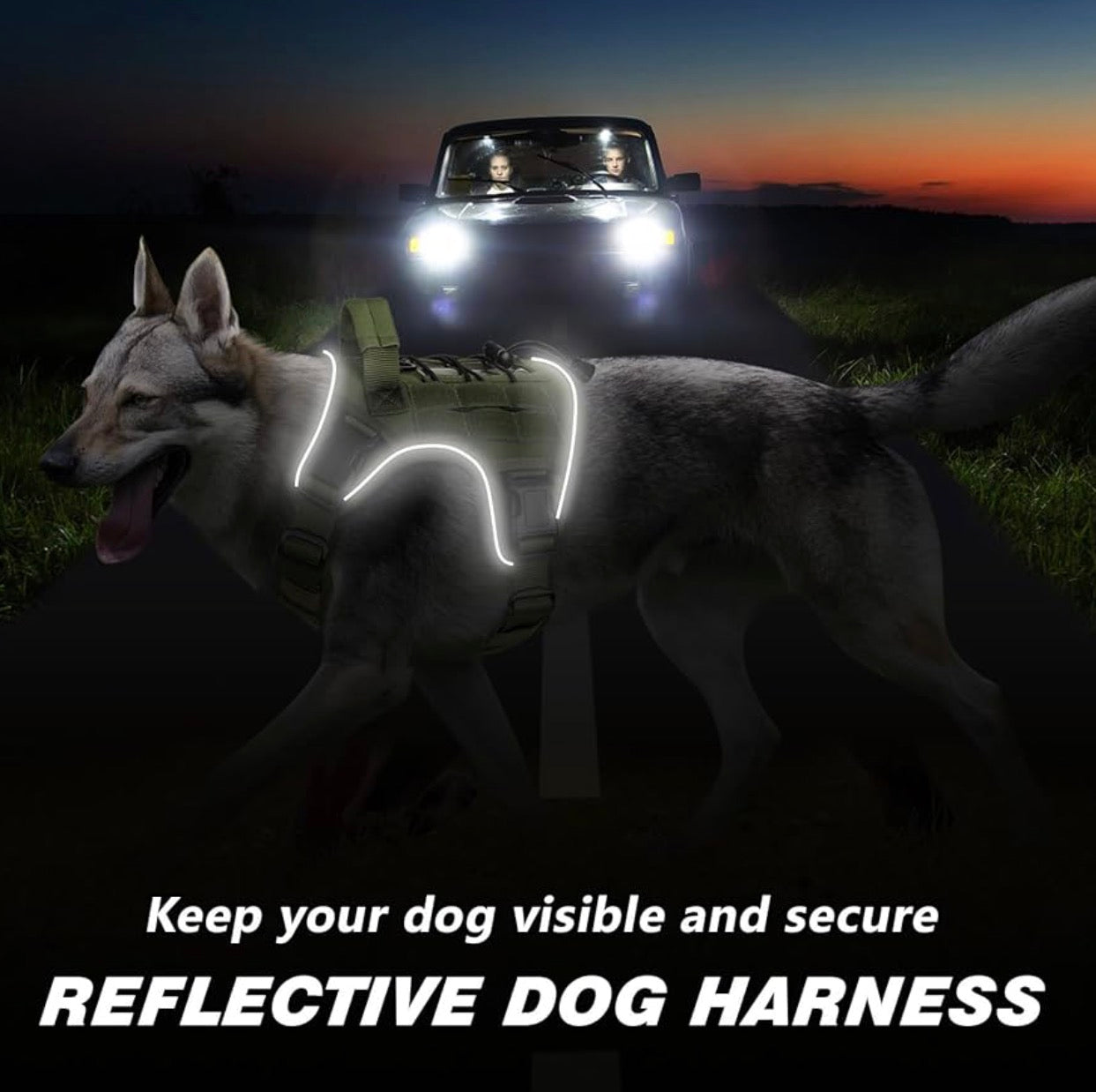 WINGOIN Green Tactical Dog Harness for Medium Dogs, size M: 30-50 lbs (Chest:24-28",Neck:17-19") Heavy Duty No Pull Dog Harness with Handle, Adjustable Reflective Military K9 Pet Vest for Pitbull, Female, Male, Walking, Training, Hunting (M)