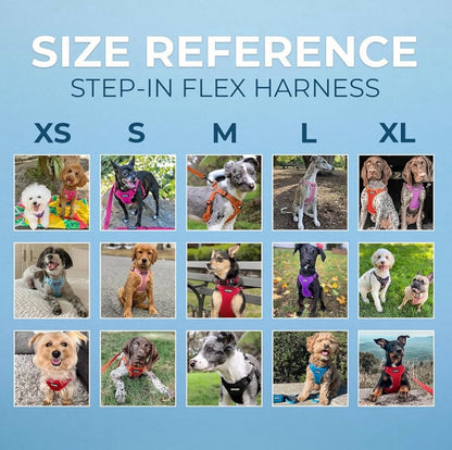 Voyager Mesh Dog Breathable Harness size small Reflective Stitching, All Weather Adjustable for Walking Training, or Running - Heavy Duty & Durable, Harness (Turquoise), S