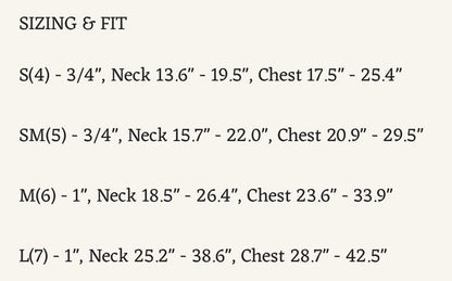 DF pet MARTINGALE HARNESS & DOUBLE-ENDED LEASH WALK KIT - BLACK (Size Large)