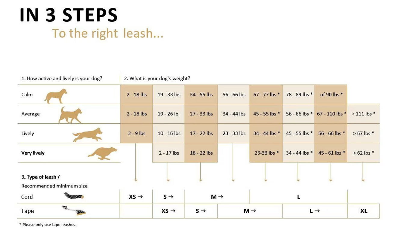 Flexi Classic Nylon Cord Retractable Dog Leash, Red, Medium: 16-ft long. For dogs up to 44 pounds.