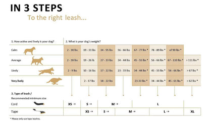 Flexi Classic Nylon Cord Retractable Dog Leash, Red, Medium: 16-ft long. For dogs up to 44 pounds.