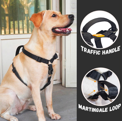 DF pet MARTINGALE HARNESS & DOUBLE-ENDED LEASH WALK KIT - BLACK (Size Large)