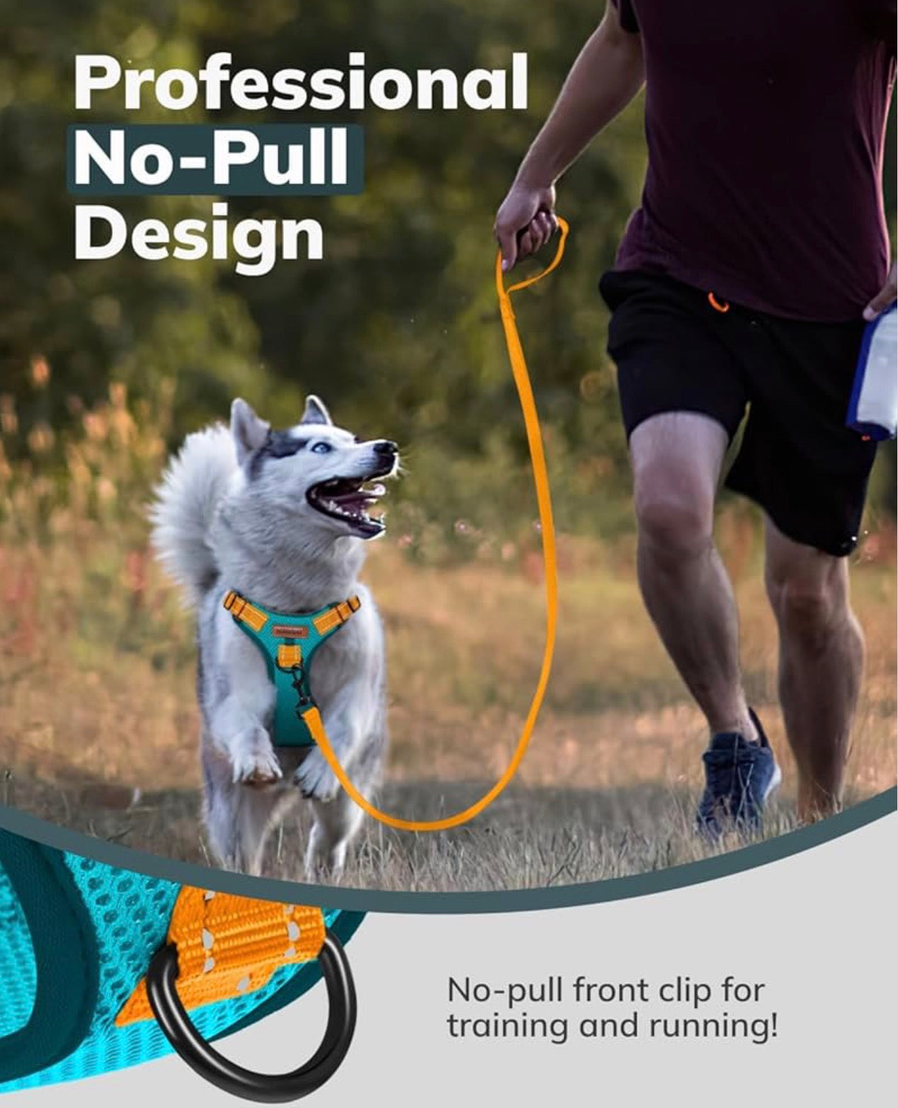 MIDOG No-Pull Dog Harness (size Large)| Adjustable & Reflective Pet Harness  for Large Dogs Walking, Training| No Choke, Front Clip, Soft Padded Vest with Easy Control Handle - Blue, L