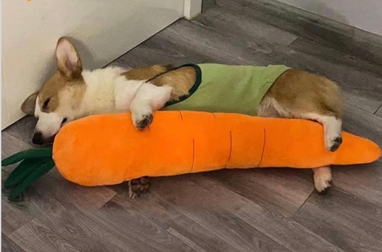 Carrot Style Squeaky Large Plush Dog Toy