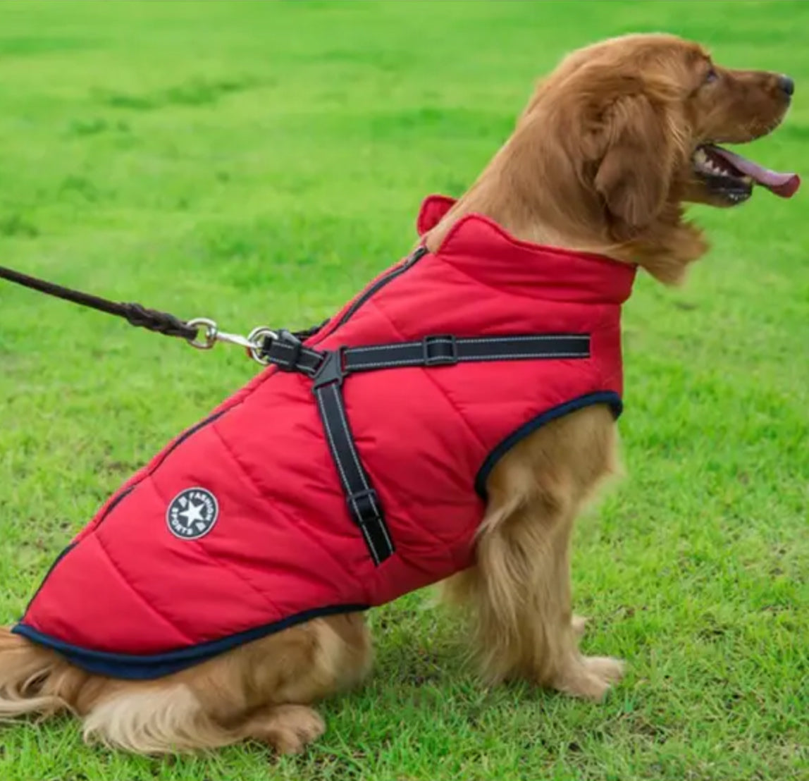 Winter Jacket For Dogs by Fashion Sports xxl can fit a small shihtzu or similar breeds Xl fits Maltese or similar breeds