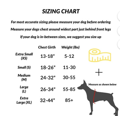 Shawn Co Essential Dog Harness, (size Small) No-Pull Pet Vest with 3 Leash Clips, No Choke, Reflective, Adjustable and Padded, for Easy Walking and Training for Small Dogs (Oceanic Blue with sharks)