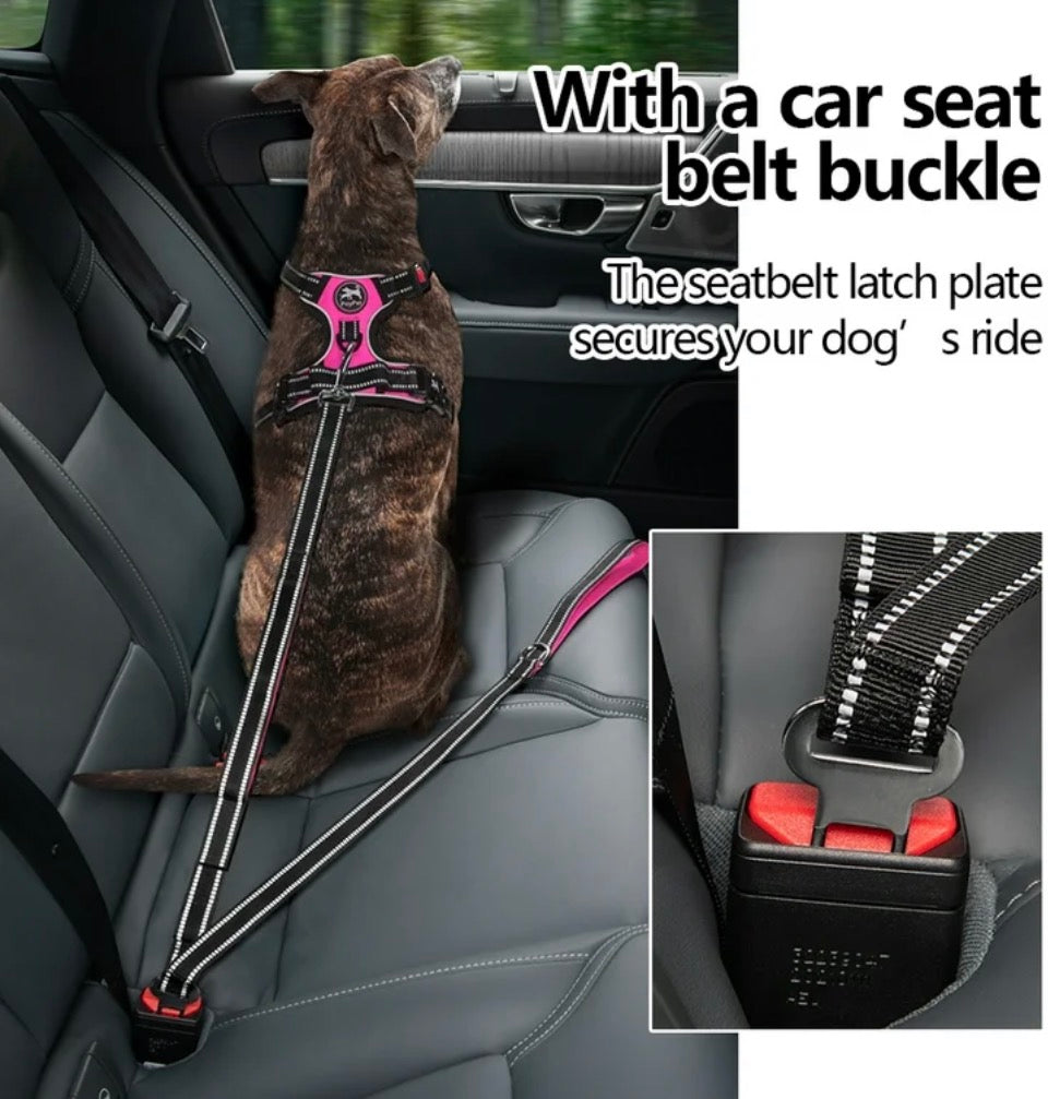 PoyPet Dog Leash 5 Ft with Soft Padded Traffic Handle, Reflective Dog Leashes with Car Seat Belt,Pink