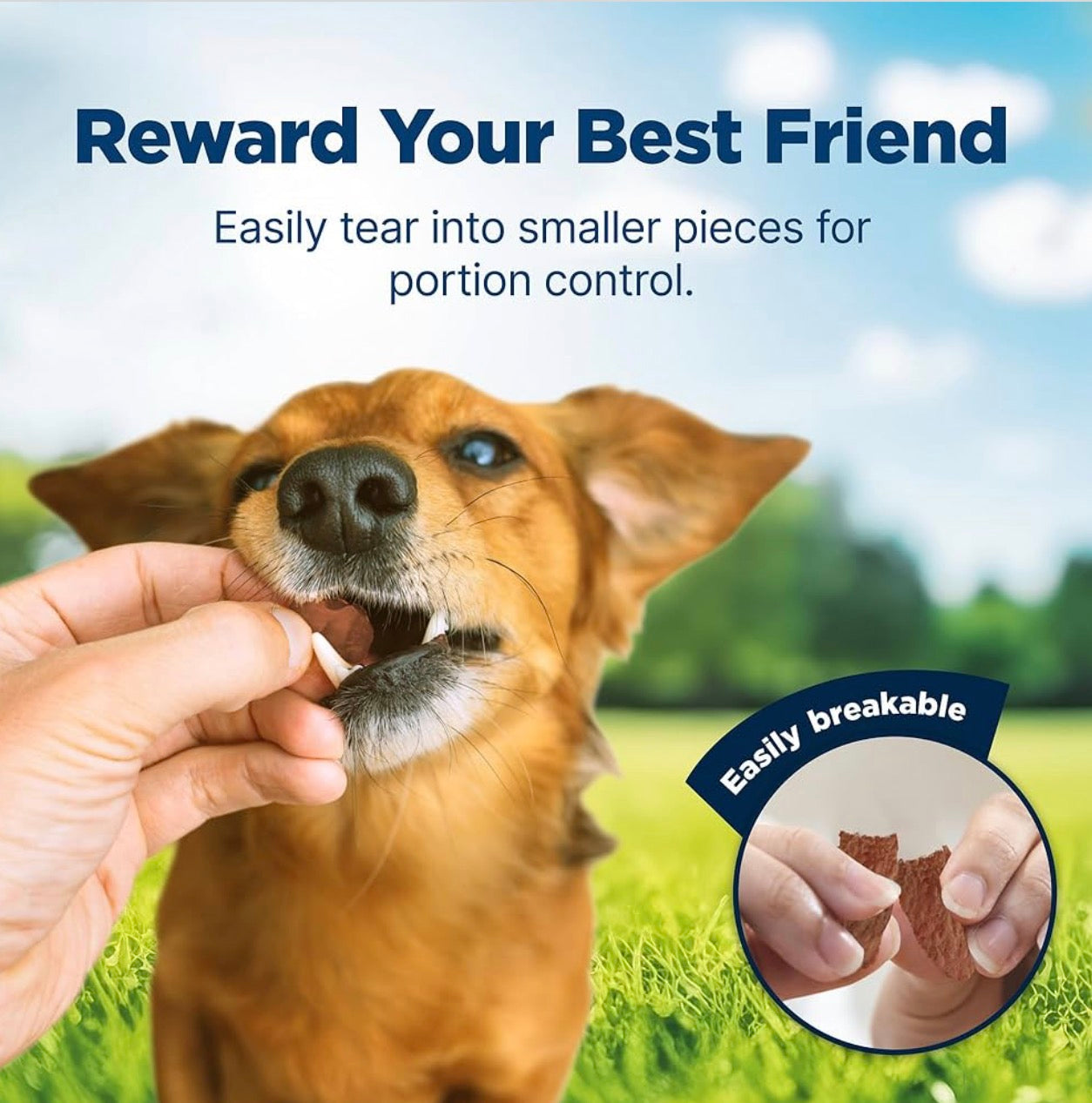 Blue Buffalo Nudges Jerky Cuts Natural Dog Treats, Duck, 10oz