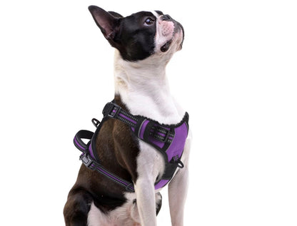 PUPTECK No Pull Dog Harness Small Sized, Adjustable Reflective Dog Harness with Handle Easy Control, Comfortable Soft Padded Pet Vest Harness for Small Dogs, Solid Purple S