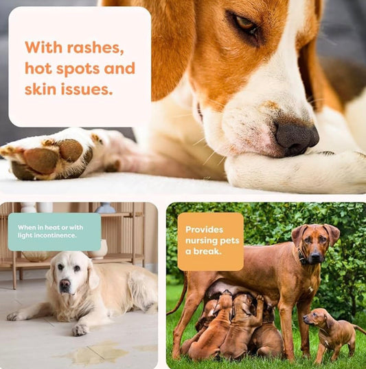 Suitical Recovery Suit for Dogs | Spay and Neutering Dog Surgery Recovery Suit for Male or Female | Soft Fabric for Skin Conditions | 2XL | Neck to Tail 31.5”-36.2” | Color Black