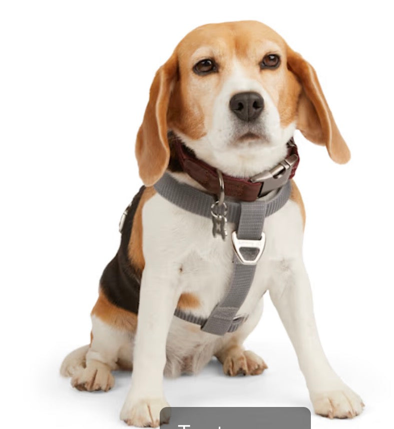 Reddy Grey Reflective Dog Harness, Large