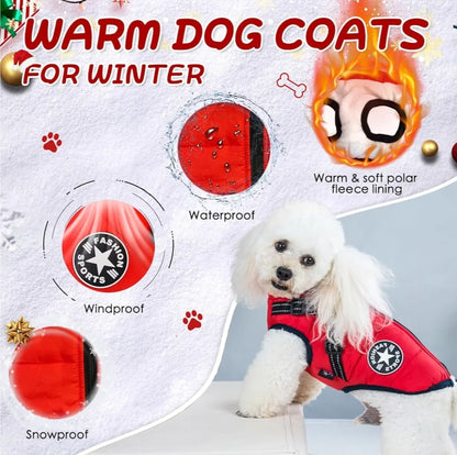 Aimydog Winter Coat