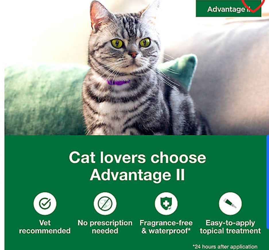 Advantage® II 5-9 lbs Cat Flea Prevention & Treatment