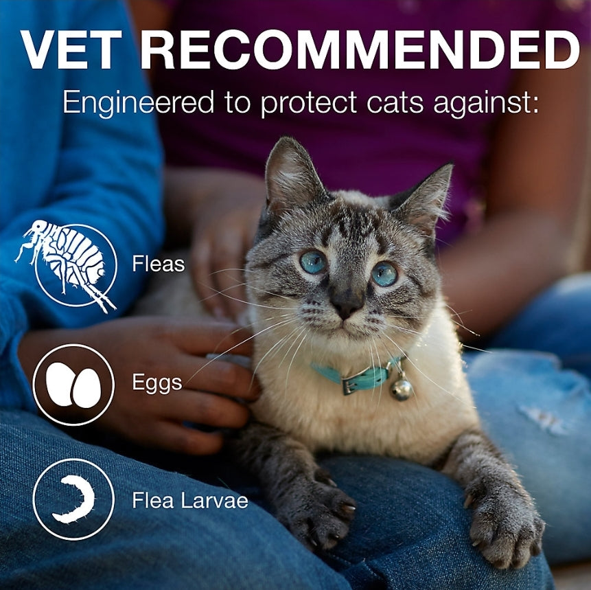 Advantage® II 5-9 lbs Cat Flea Prevention & Treatment