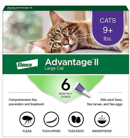 Advantage® II Over 9 lbs Cat Flea Prevention & Treatment 6 monthly doses