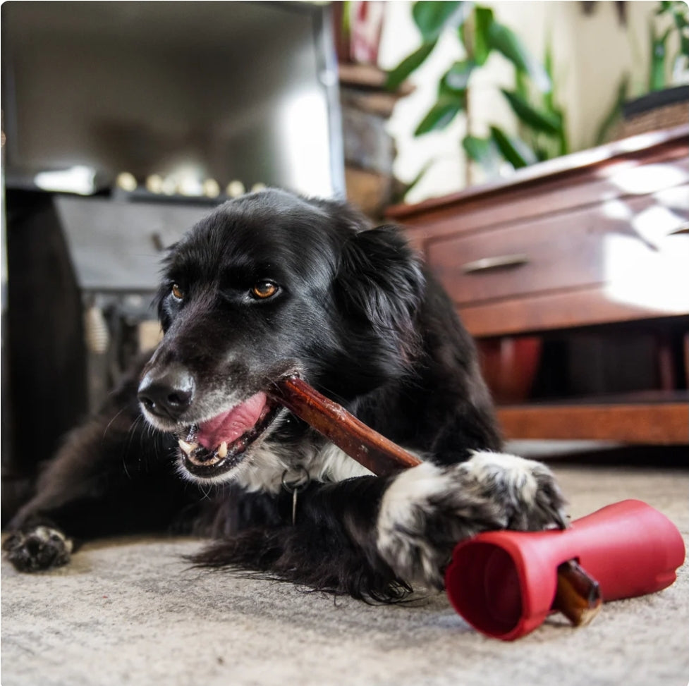 Bully Stick Safety Holder by Bully Bunches